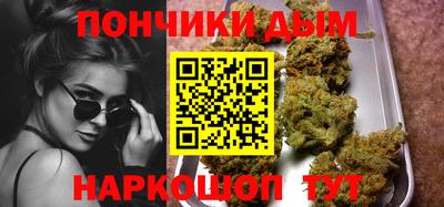 шишки Заводоуковск