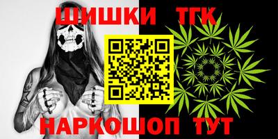 гашик Жуковский
