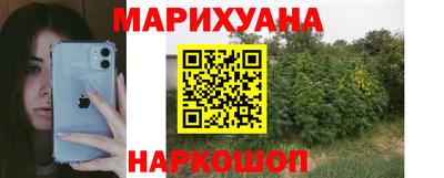 шишки Заводоуковск