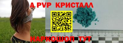 гашик Жуковский