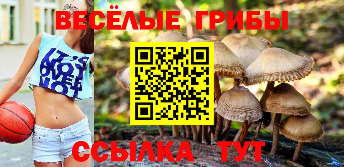 Кропоткин  цена наркотик  Галлюциногенные грибы ЛСД  Вход с VPN  Псилоцибиновые грибы мухоморы 